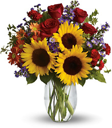 Pure Happiness from Parkway Florist in Pittsburgh PA Pure Happiness from Parkway Florist in Pittsburgh PA